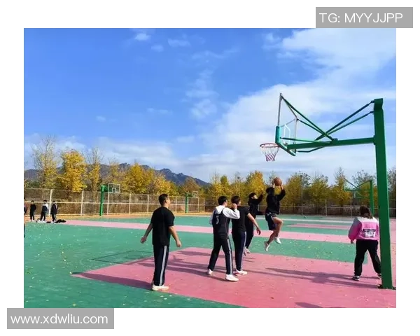 在被遗忘的时光篮球场上重拾青春的梦想与友谊